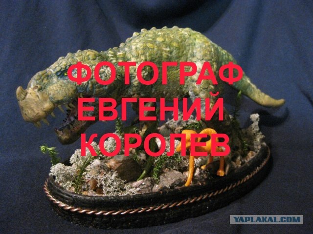 T-ReX