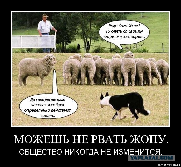 А картинки?