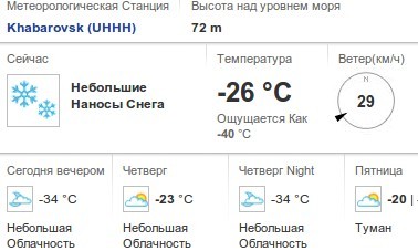 Елочная фаллометрия