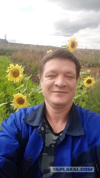 Конфуз