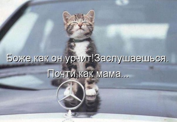 Картинки из сети