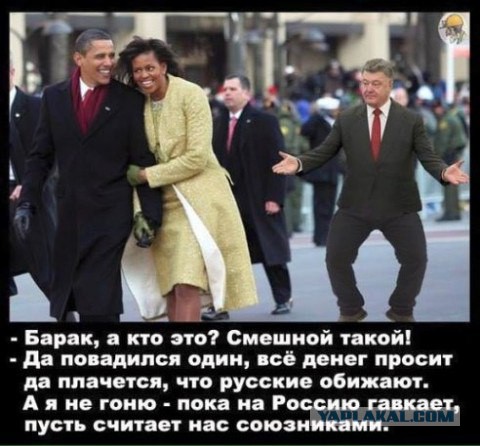 Мух не обманешь!