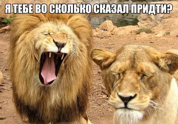 Картинки и приколы из соц.сетей и интернета