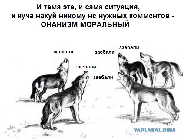 3х-летнему мальчику запретили играть игрушками, в детском саду.
