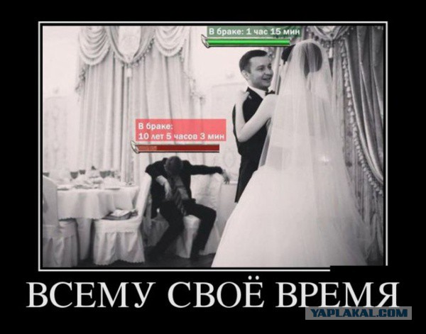 Забавные картинки из Сети