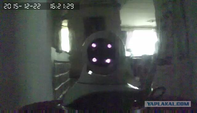 За что я люблю китайцев