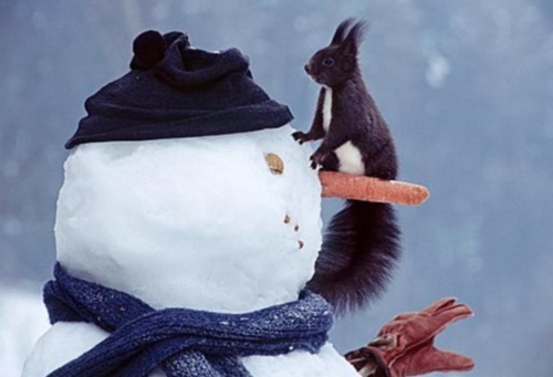 Разные картинки