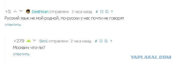 Пучок смешных картинок
