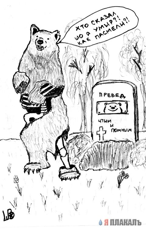 Превед медвед!