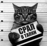 Аватары на заказ