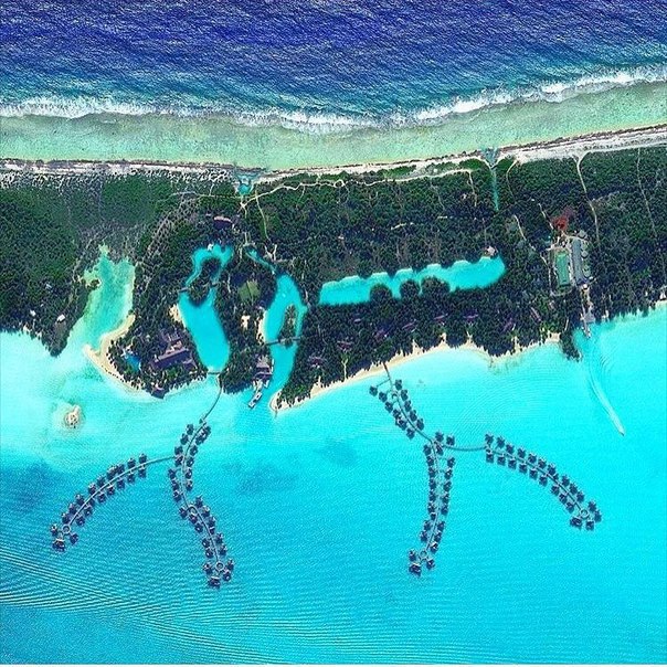 Интересные и веселые картинки