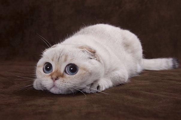 Винегрет фоток на пятницу...