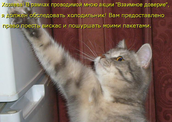 Картинки из ваших интернетов