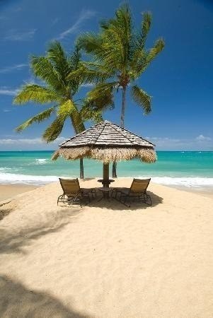 Моменты, запечатлённые на фото и просто позитив 5