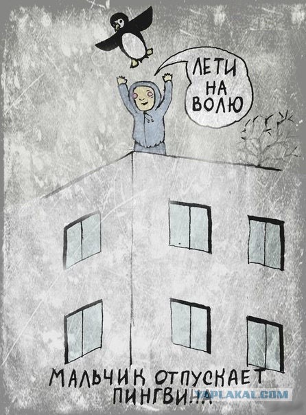 Дурацкие картинки