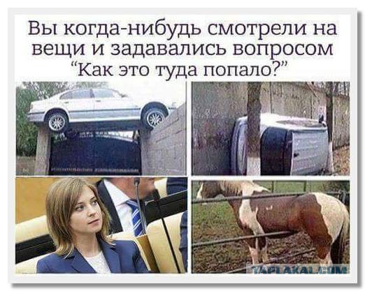 Барышню Поклонскую давно пора подвергнуть психиатрической экспертизе