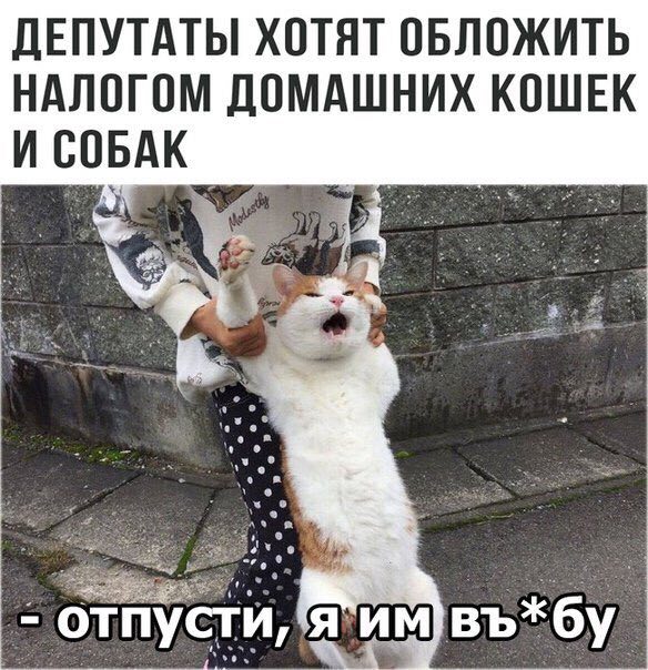 Немного картинок на вторник
