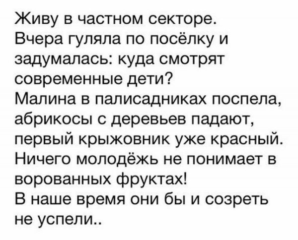 Такса. Девочка. Происшествие под Минском.