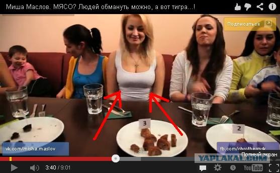 Тигр-эксперт проверил мясо из Макдоналдс