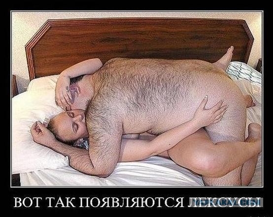 Люби толстых и будь счастлив!
