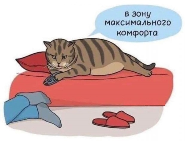 Чуток картинок 21.02.20