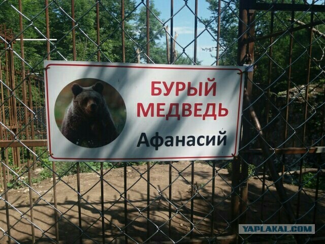Хаджохская теснина Адыгея зоопарк