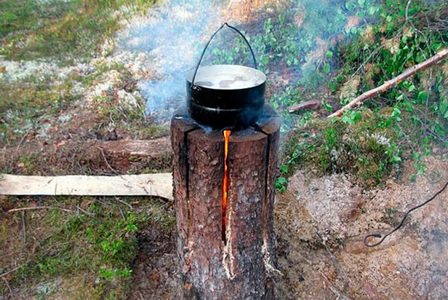 Интересная находка пожарных: огонь горит внутри дерева