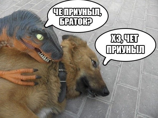 Спрятались от дождика под деревом
