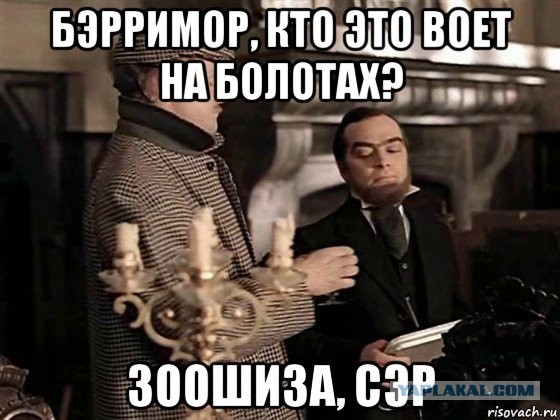 "Дети плакали, взрослые кричали": В Кировске на глазах у юных лыжников священник застрелил их любимицу - собаку Фросю