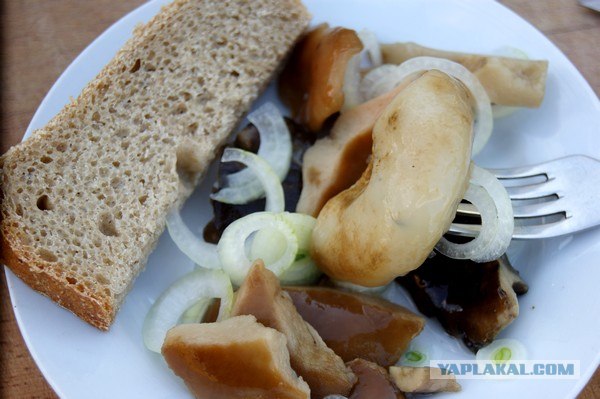 Осень в банках