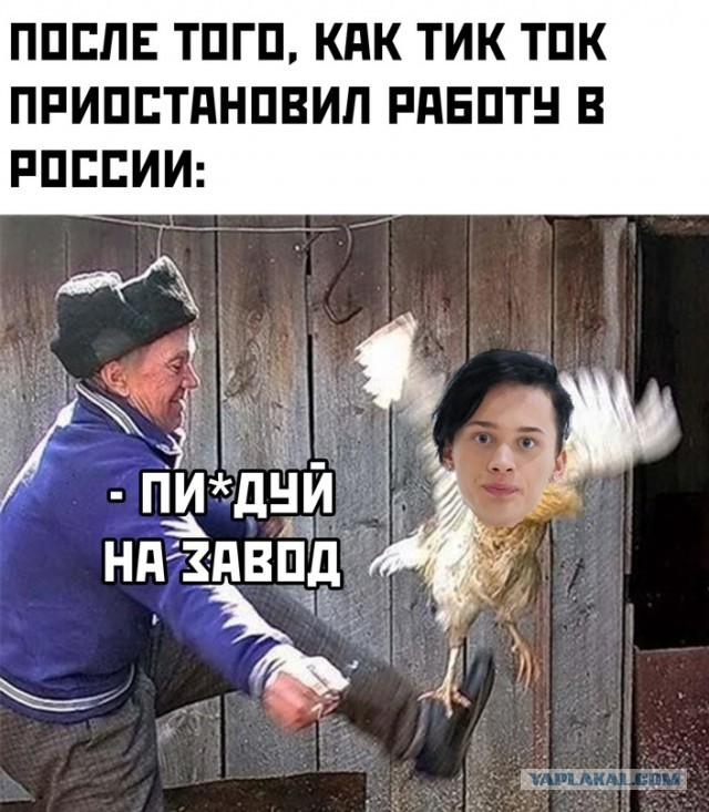 Весёлый полтишок 13.03.22