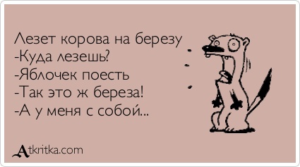 Лезет Корова На Дерево За Яблоками