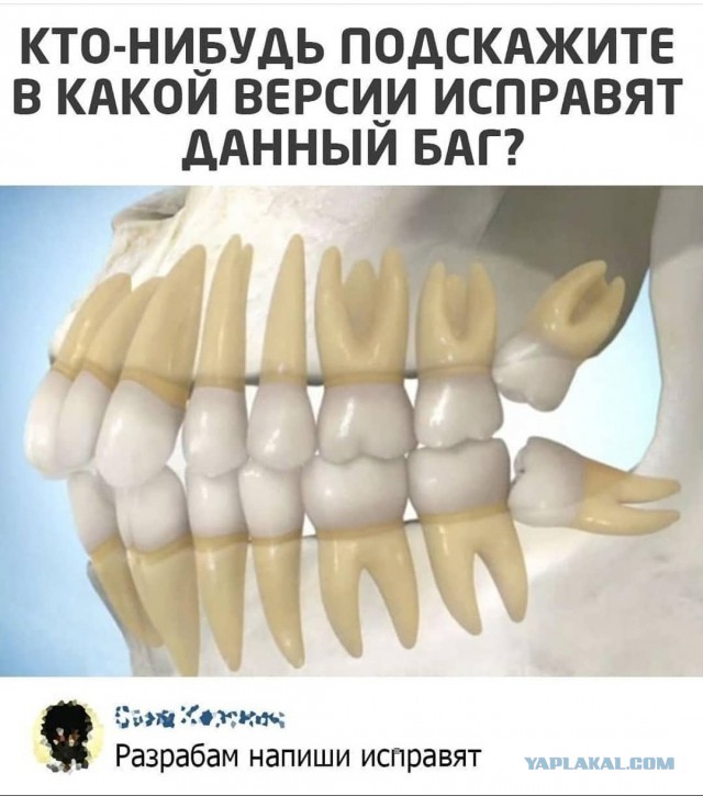 Очередной весёлый полтишок