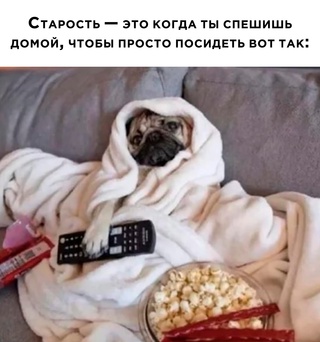Картинки и мемы для настроения - 119