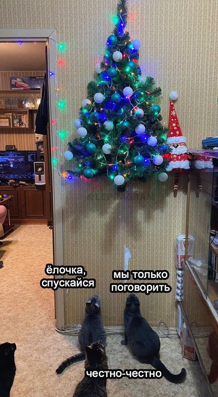 Картинки и мемы, всем хороших выходных