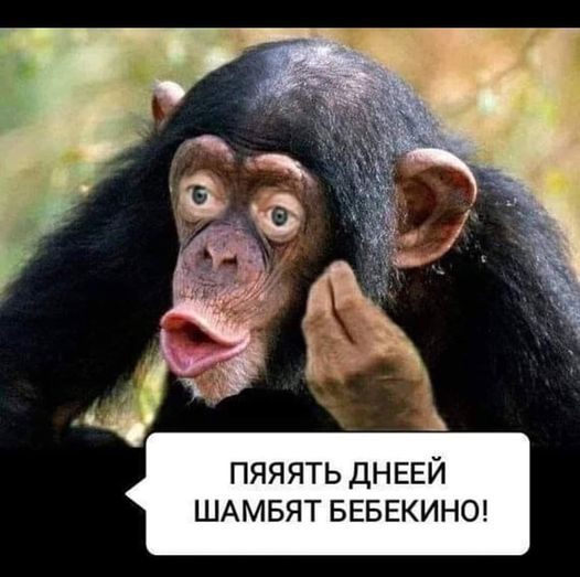 Победная поступь идиотизма по планете – том 16