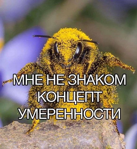 Осторожно, крышечка некрепко держится