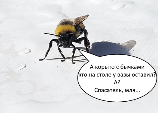 Добропост!