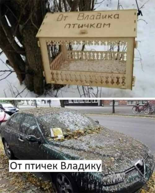 Завалялось тут случайно немного забавных картинок