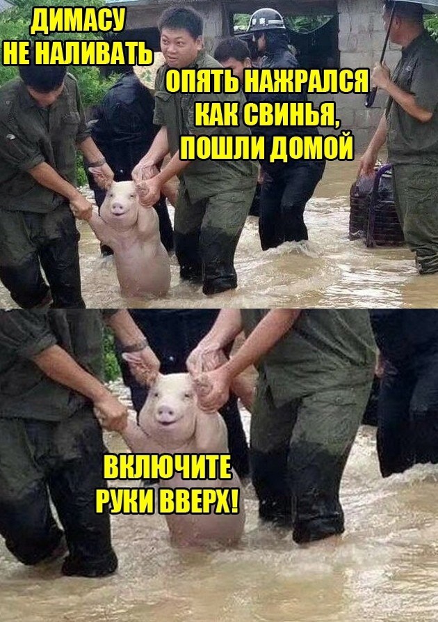 Решил поделиться моей коллекцией боянов (часть 2)