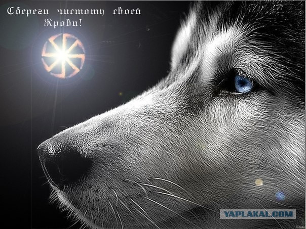 С праздником братья СЛАВЯНЕ !