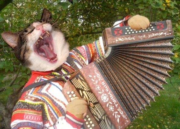 Юмор для тех, кто уже повзрослел и понял, что «любимый сериал» — это тот, под который хорошо засыпается