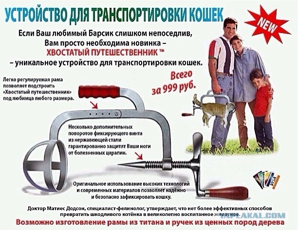 И вот что с ним делать за это?