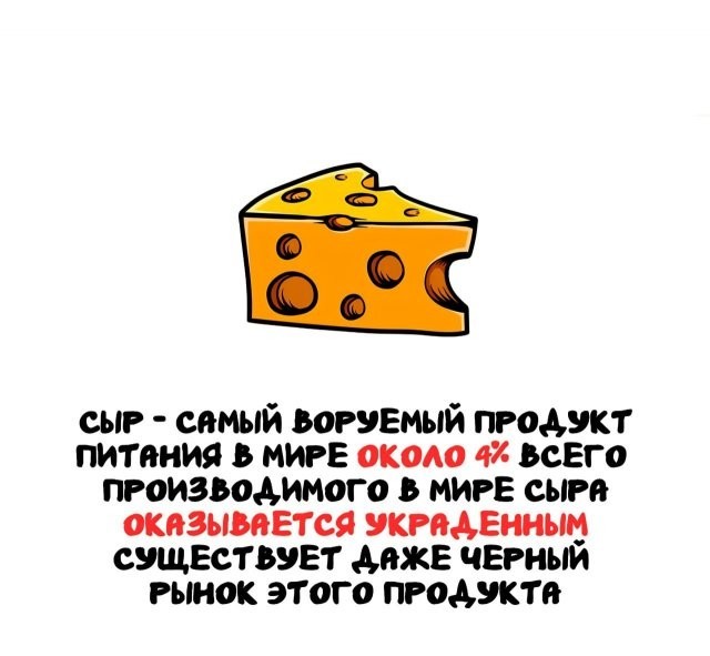 Подборка интересных фактов на все случаи жизни 26.11.25