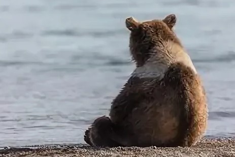 Конфетная шринкфляция