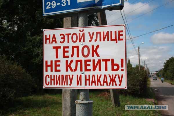 Сниму и накажу