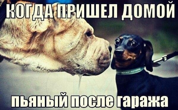 Картинки