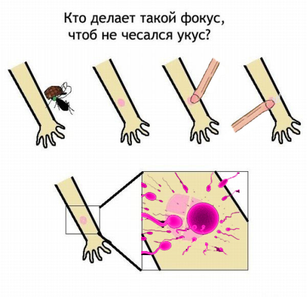 Фокус против чесотки