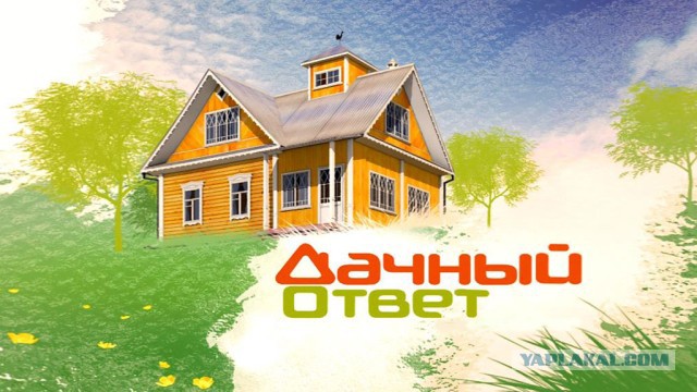 Из-за них я ВКлючаю каналы
