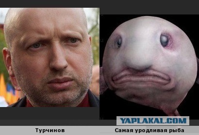 Как две капли воды